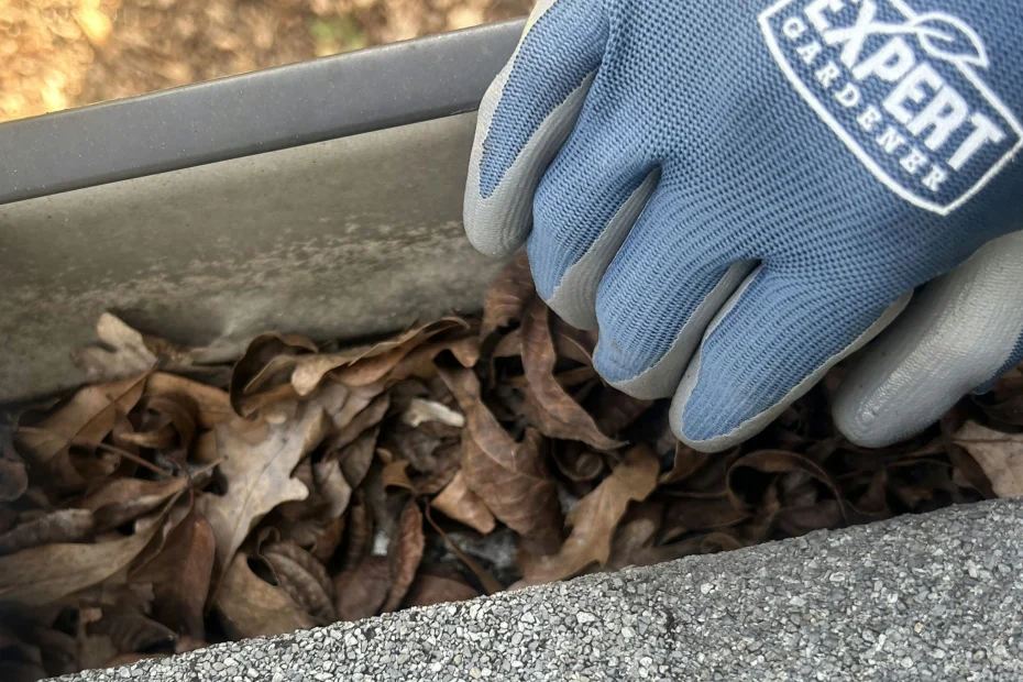 Fairview Park Gutter Cleaning