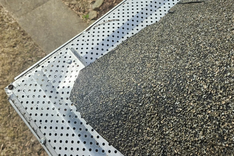 Fairview Park Gutter Cleaning