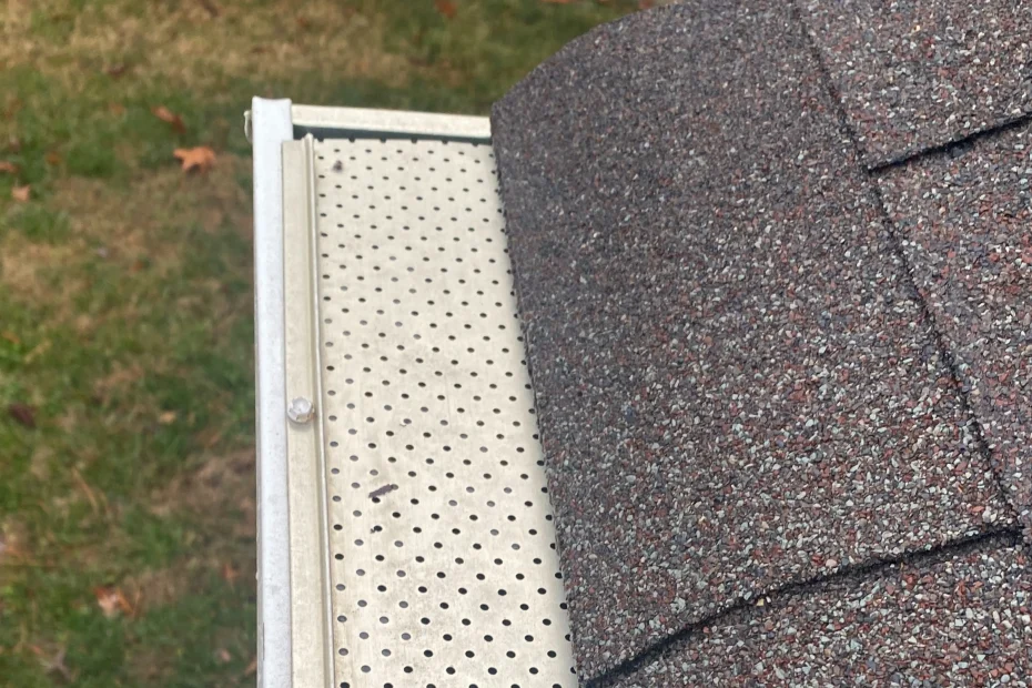 Fairview Park Gutter Cleaning